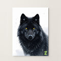 P000015